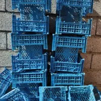 سبد پنج کیلویی مناسب سردخانه|ظروف نگهدارنده، پلاستیکی، یکبارمصرف|زنجانرود, |دیوار