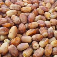 خرمازاهدی|خوردنی و آشامیدنی|شیبکوه (فارس), |دیوار