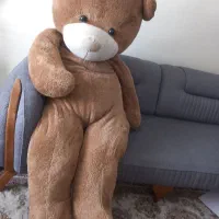 خرس یک و نیم متری