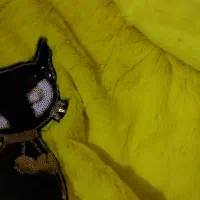 هودی شلوار نو|لباس|محمدشهر, شهرک چمران|دیوار