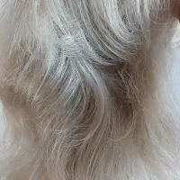 کلاه گیس بلوند و کلیپس مویی