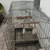 قفسه پرنده بزرگه