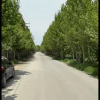 350-متر-زمین-تهراندشت-اران