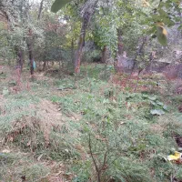 باغچه نقلی ۲۵۰ متری داخل شهرگلمکان|فروش خانه و ویلا|گلمکان, |دیوار