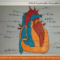 آموزش درسی