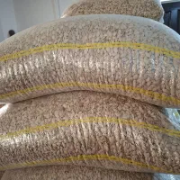 تخمه کدو|خوردنی و آشامیدنی|بهار, |دیوار