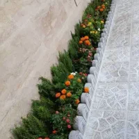 خدمات باغبانی باغچه کاری تعویض خاک گلدون گل وگیا