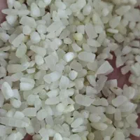 نیم دانه لیزری عنبر بو|خوردنی و آشامیدنی|دزفول, |دیوار