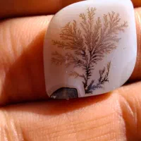 سنگ شجر با اوپال