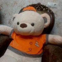 خرس خارجی بزرگ با لباس