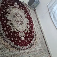 فرش درجه یک ۹متری|فرش|گرگان, |دیوار