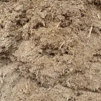 نیشکر|لوازم جانبی حیوانات|باروق, |دیوار