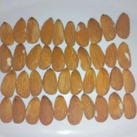 مغز بادام درشت امسال