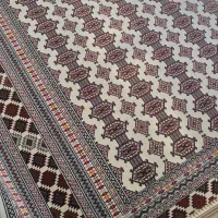 فرش هلال البرز|فرش|گنبد کاووس, |دیوار