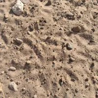 ماسه ریخته گری