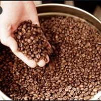دستگاه رست قهوه، روستر دان، رستر دون سبز، روست تفت|قوری، کتری، قهوه‌ساز دستی|اهواز, طالقانی|دیوار