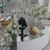فیلم برداری و عکاسی مجالس