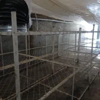 اجاره کارگاه (سوله)|اجارهٔ دفتر صنعتی، کشاورزی، تجاری|بناب, |دیوار