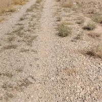 زمین دوربر تفکیک شده|فروش دفتر صنعتی، کشاورزی، تجاری|پاکدشت, پاکدشت (مامازند)|دیوار