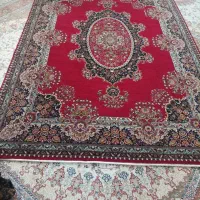 فرش و گلیم فرش|فرش|بانه, |دیوار