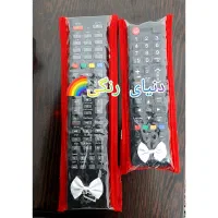 محافظ کنترل|تلویزیون و پروژکتور|دورود, |دیوار