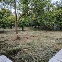 فروش زمین ۷۰۰ متری مسکونی منطقه سرولات