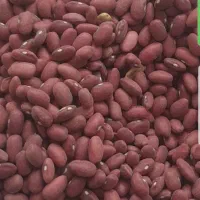 لوبیا درجه یک