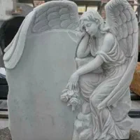 استخدام ادمین