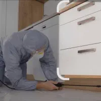 سم پاشی به صورت حرفه ای با تضمین  با تخفیف ویژه