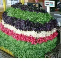 همکاری و شراکت در میوه فروشی