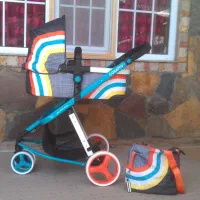 کالسکه انگلیسی|کالسکه و لوازم جانبی|بندر انزلی, ژاندارمری|دیوار