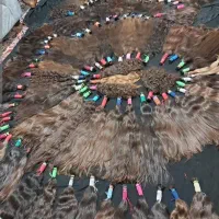 (خریدار) اصلی مو طبیعی قیمت ویژه بزرگترین شعبه قم|خدمات آرایشگری و زیبایی|قم, سالاریه|دیوار