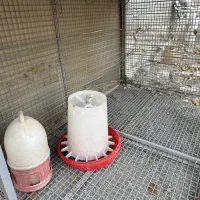 قفس|حیوانات مزرعه|کوهسار (البرز), |دیوار