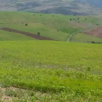 ۱۰۰۰ متر زمین کشاورزی