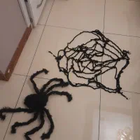 عروسک عنکبوت وتار