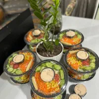 سالاد و ساندویچ و غذاهای خانگی|خدمات پذیرایی، مراسم|شیراز, شیمی گیاه|دیوار