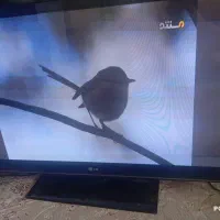 تلویزیون