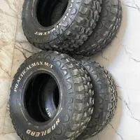 لاستیک گل جنگلی