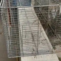 قفس پرنده پرون