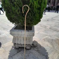 عصا.دوا|کوهنوردی و کمپینگ|تهران, نارمک|دیوار
