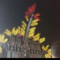 علامت پنج تیغ تمام شبکه کار دست