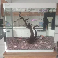 آکواریوم شیشه خم  aqua