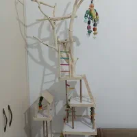 فروش پارک بازی  طوطی سانان