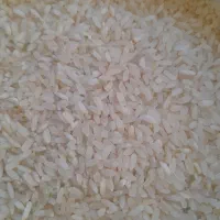 فروش برنج درجه یک کامفیروزی