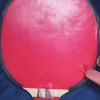 راکت گلد کاپ|ورزش‌های توپی|مشهد, کارمندان دوم|دیوار