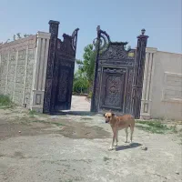فروش-ویلا