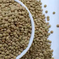عدس درجه یک ۱۳۴/۰۰۰ ( حبوبات / ارسال داریم )