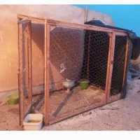 فروش قفس بزرگ چوبی محکم و خوش ساخت