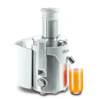 ابمیوه گیری فلر