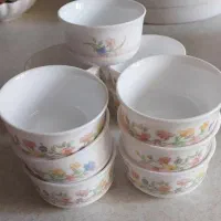 آرکوپال ۱۸نفره طرح الیز|ظروف سرو و پذیرایی|کرج, محمد آباد|دیوار